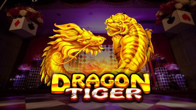 The Latest Dragon Tiger Game: Everything Need to Know About the New Dragon Tiger Bonus App